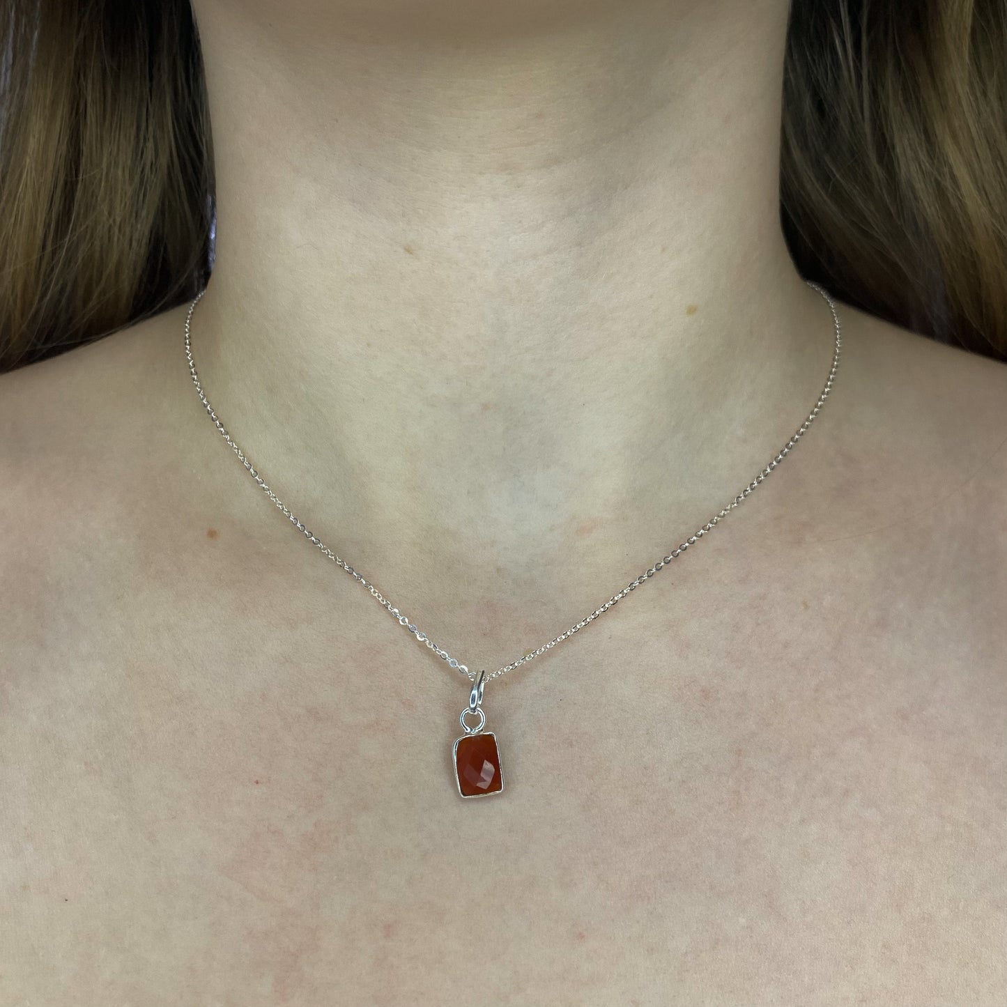 Sidabrinis pakabukas su karneoliu ir grandinėle