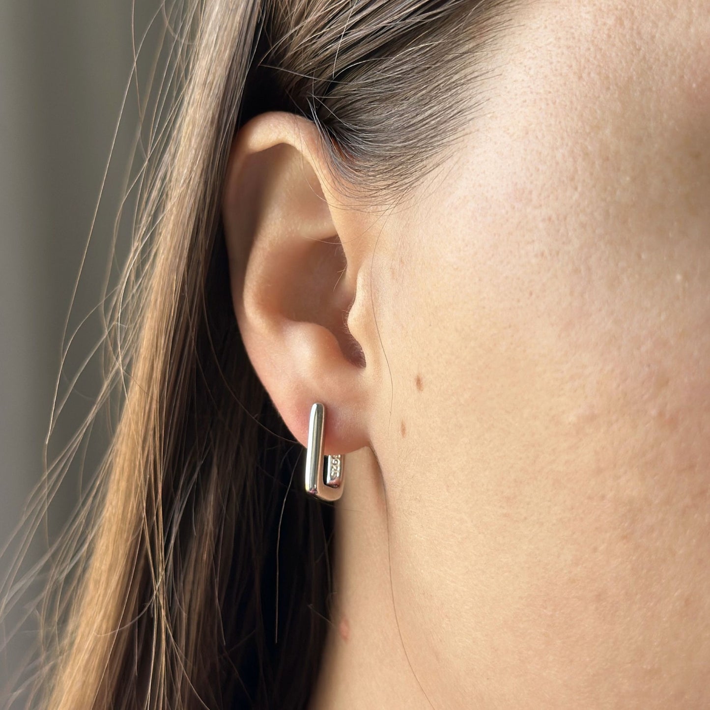 Sidabrinės stačiakampės rinkutės