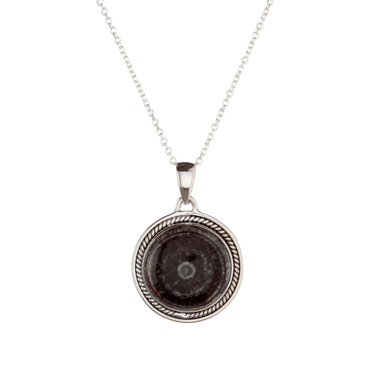 Sidabrinis pakabukas su orthoceru ir grandinėle