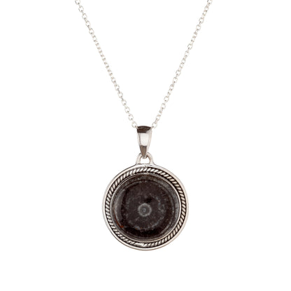 Sidabrinis pakabukas su orthoceru ir grandinėle