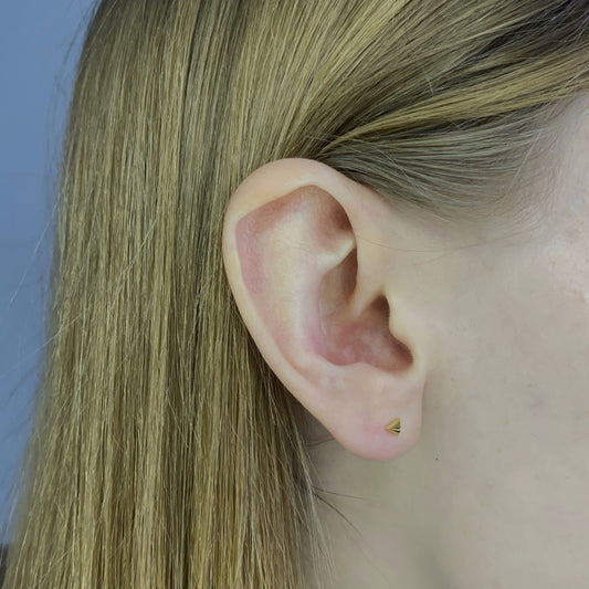 Sidabriniai auksuoti užsukami vinukai