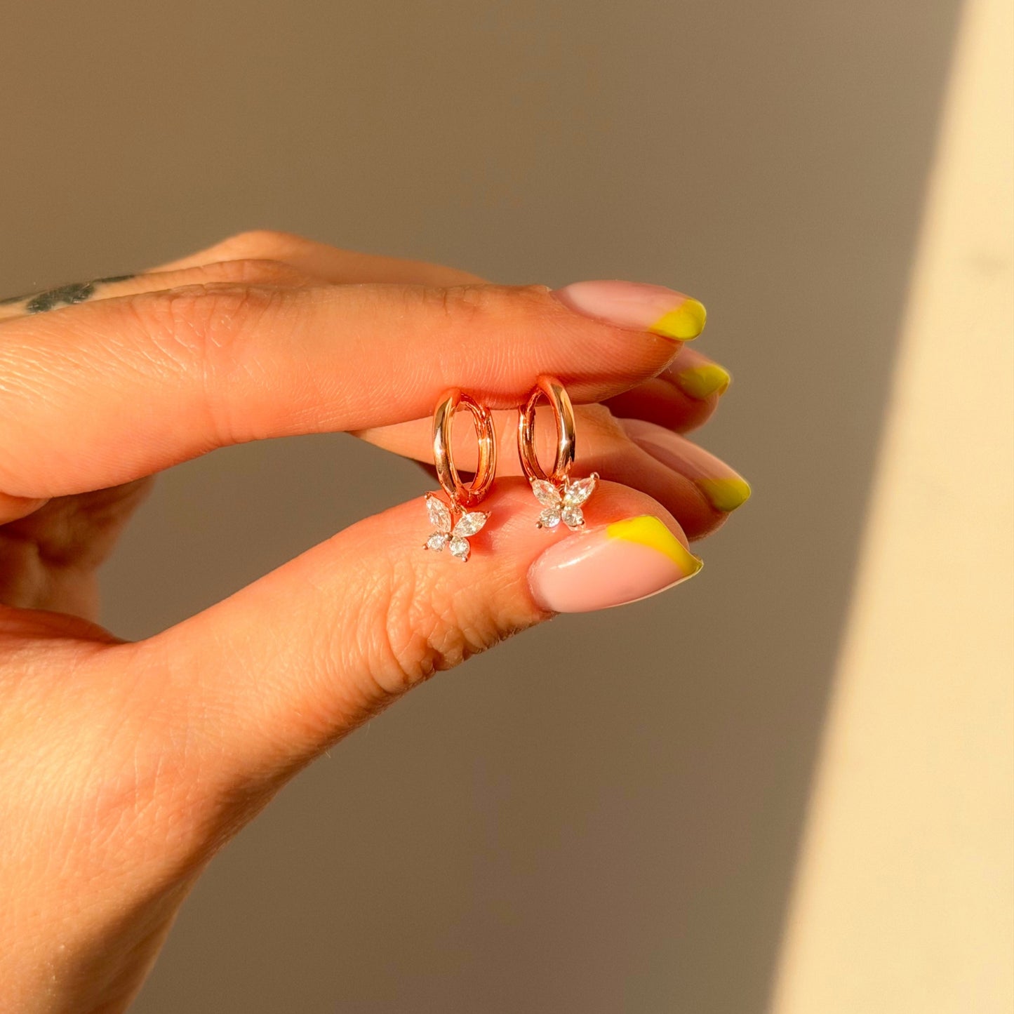 Sidabrinės rinkutės su drugeliu