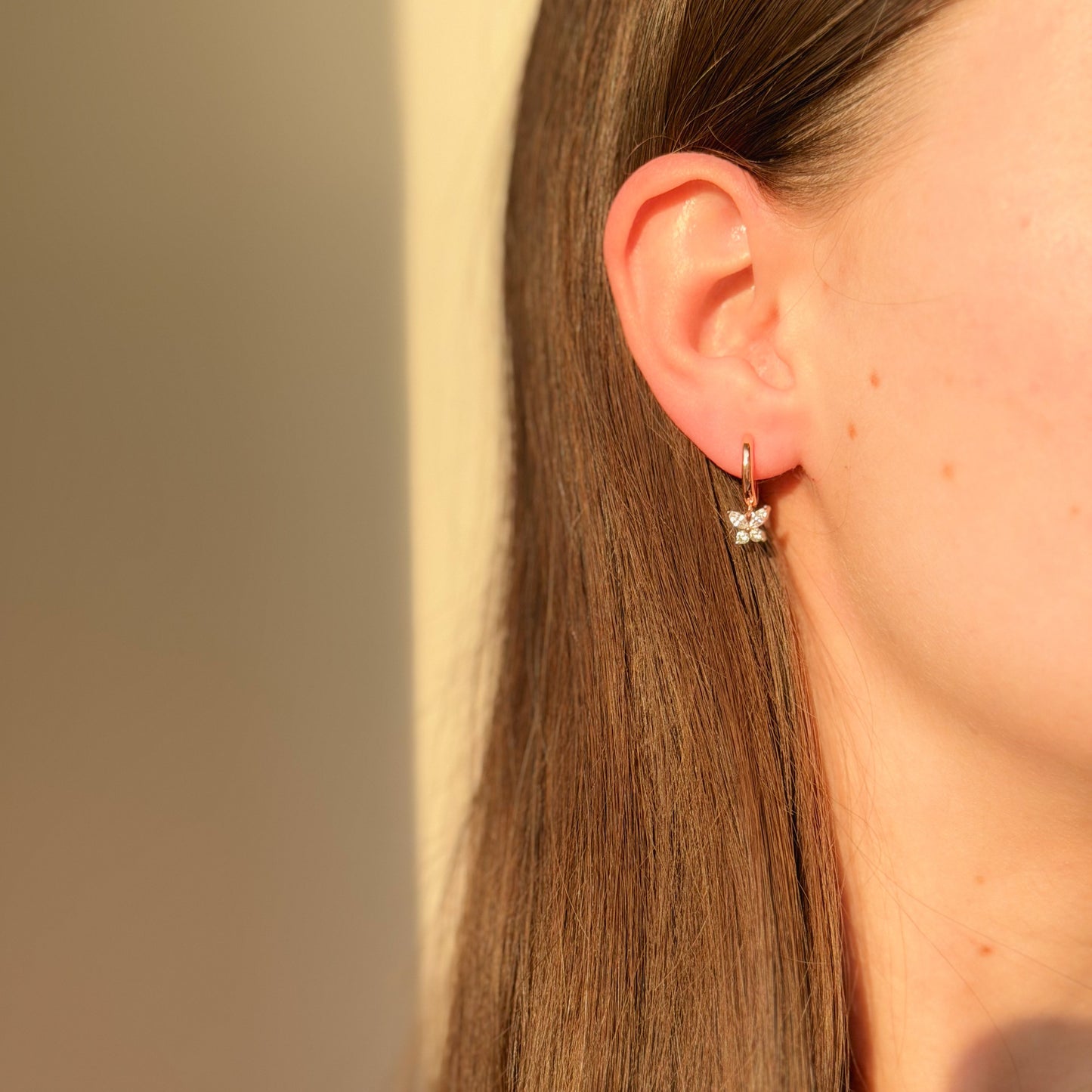 Sidabrinės rinkutės su drugeliu