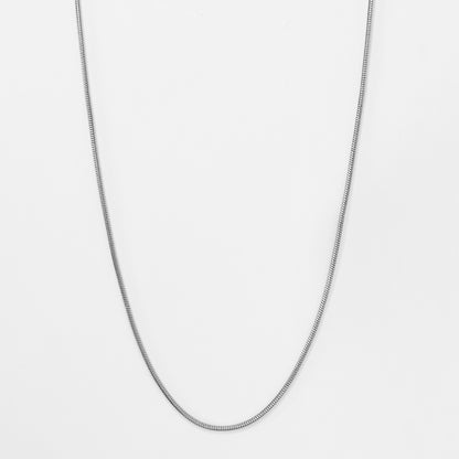 Plieninė grandinėlė "Diamond Cut Snake"