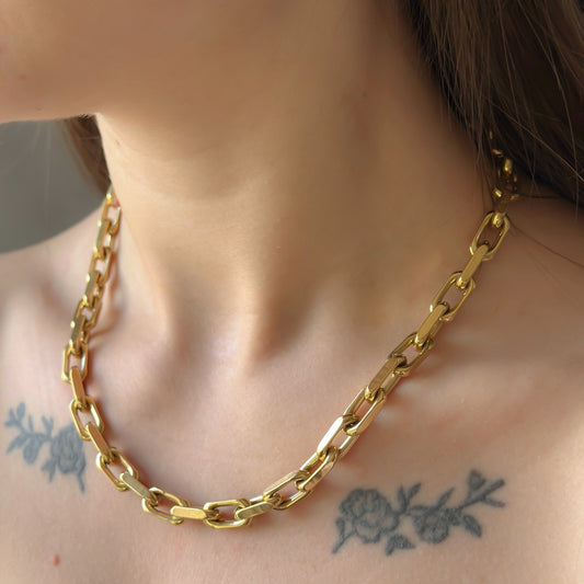 Masyvi auksuota grandinėlė Forzentina