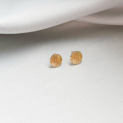 Vinukai „Seashell“