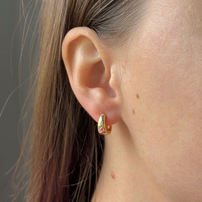 Sidabrinės platėjančios rinkutės